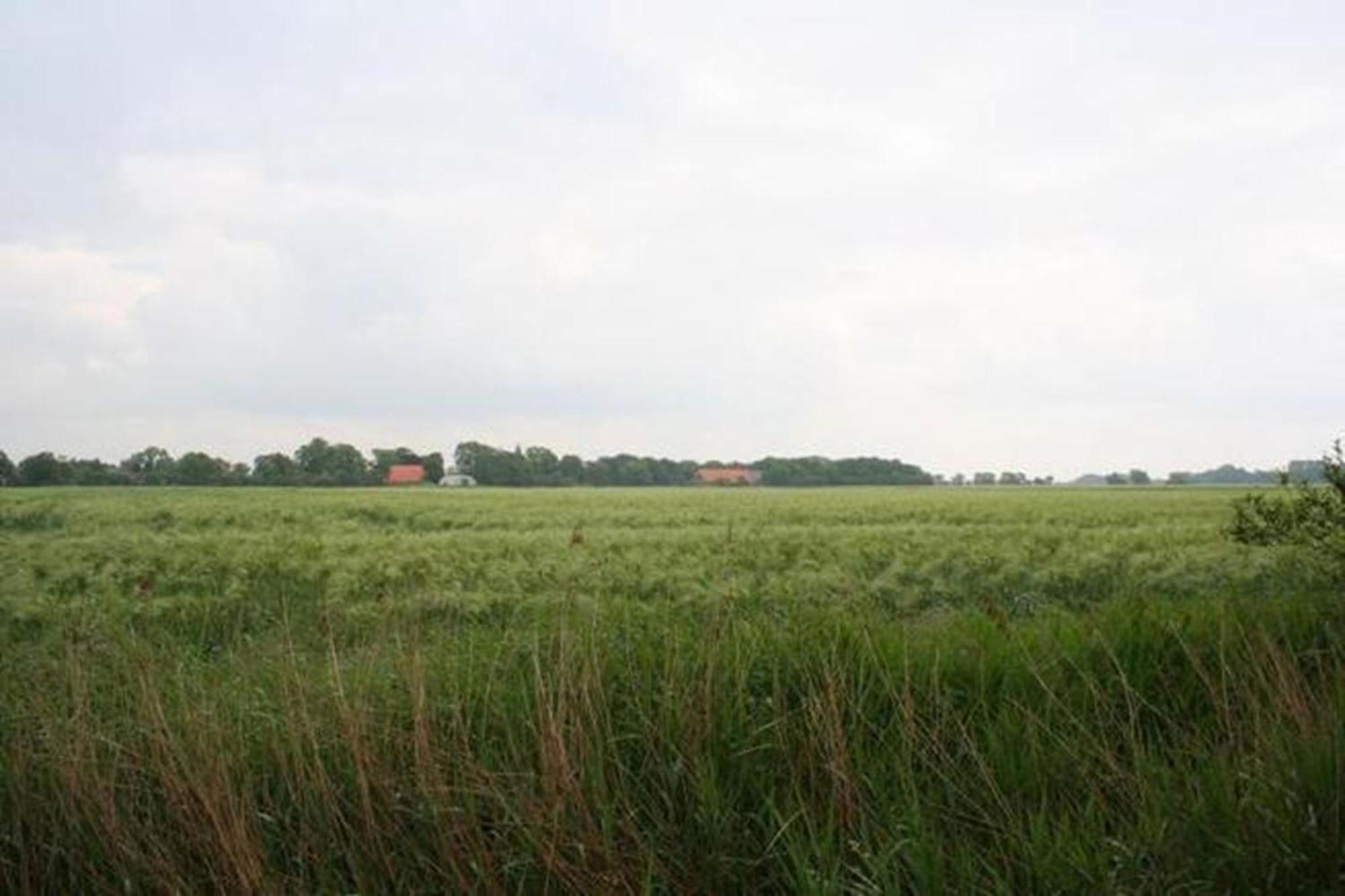Ferienhaus 3370 In Tossens Stick ภายนอก รูปภาพ
